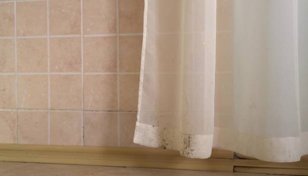 Best Commercial Mold Inspection  in Crow Agency, MT