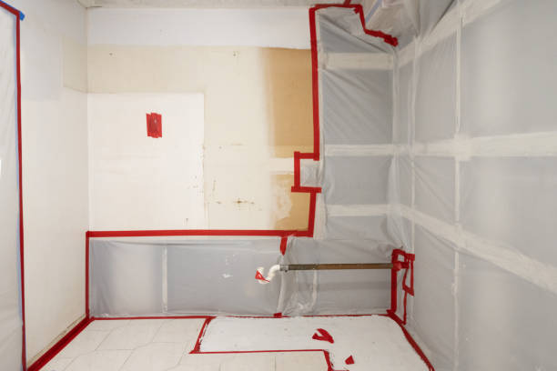 Best Post-Construction Mold Inspection  in Crow Agency, MT