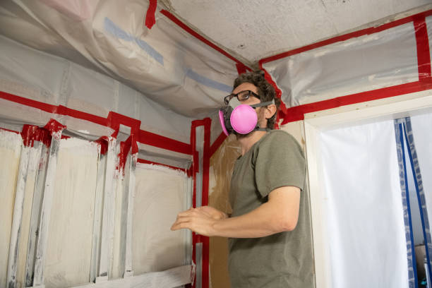 Best Black Mold Removal  in Crow Agency, MT