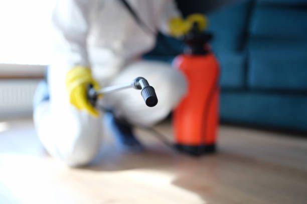 Best Forensic Mold Investigation  in Crow Agency, MT
