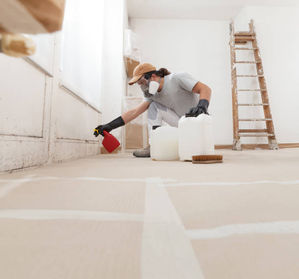 Dehumidification Services in Crow Agency, MT