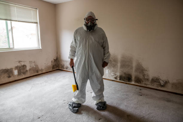 Best Basement Mold Removal  in Crow Agency, MT